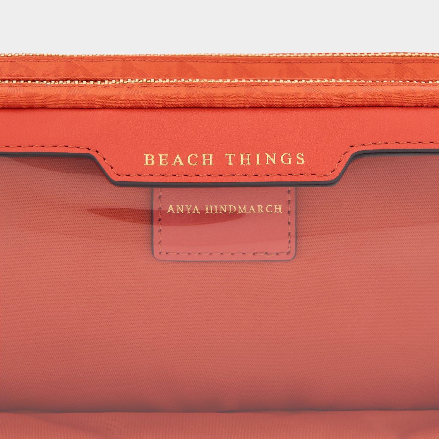アニヤハインドマーチ　ビーチ　　ANYA HINDMARCH BEACH アニヤハインドマーチ Anya Hindmarch ANYA HINDMARCH ポーチ Zip