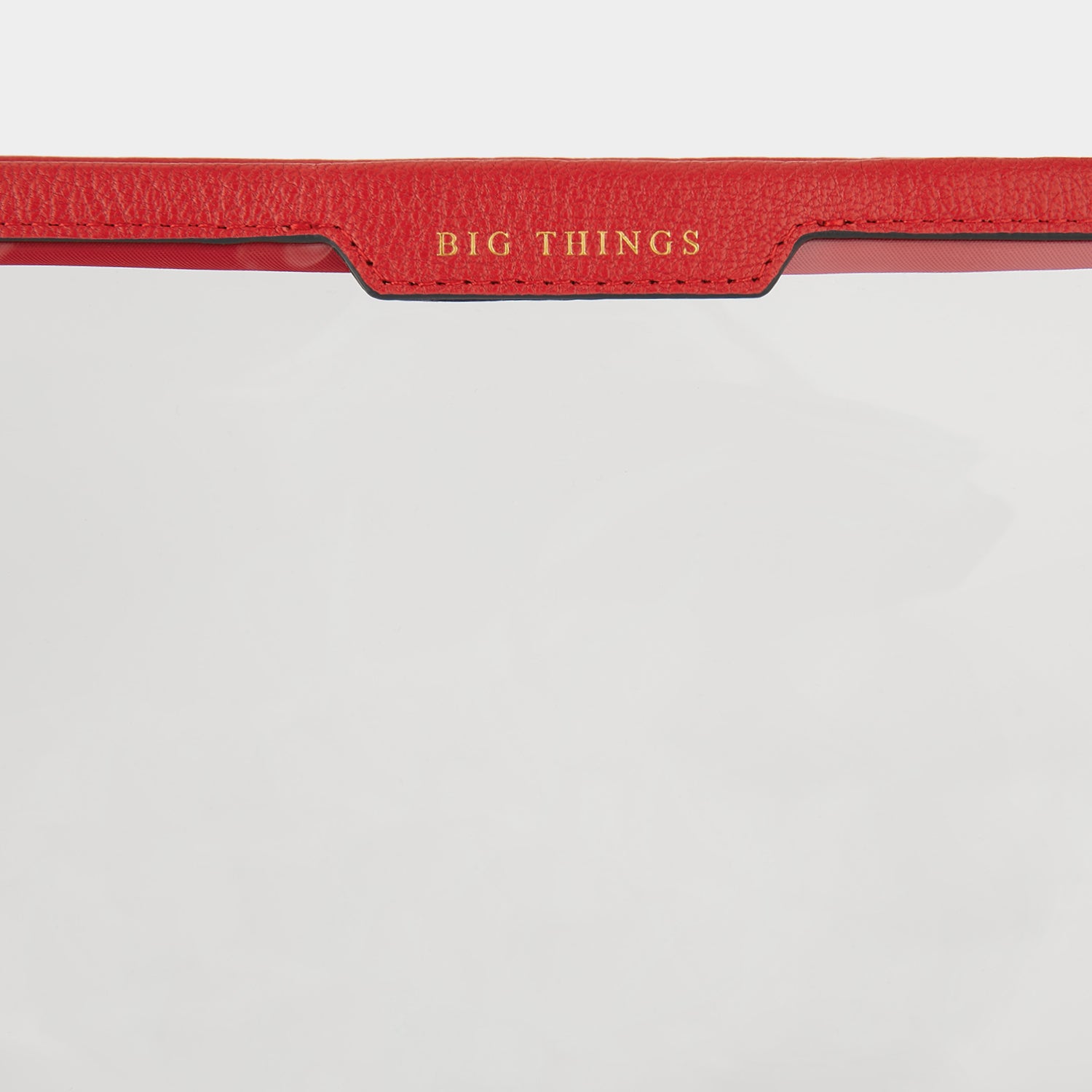 ビッグ シングズ ポーチ | Anya Hindmarch JP
