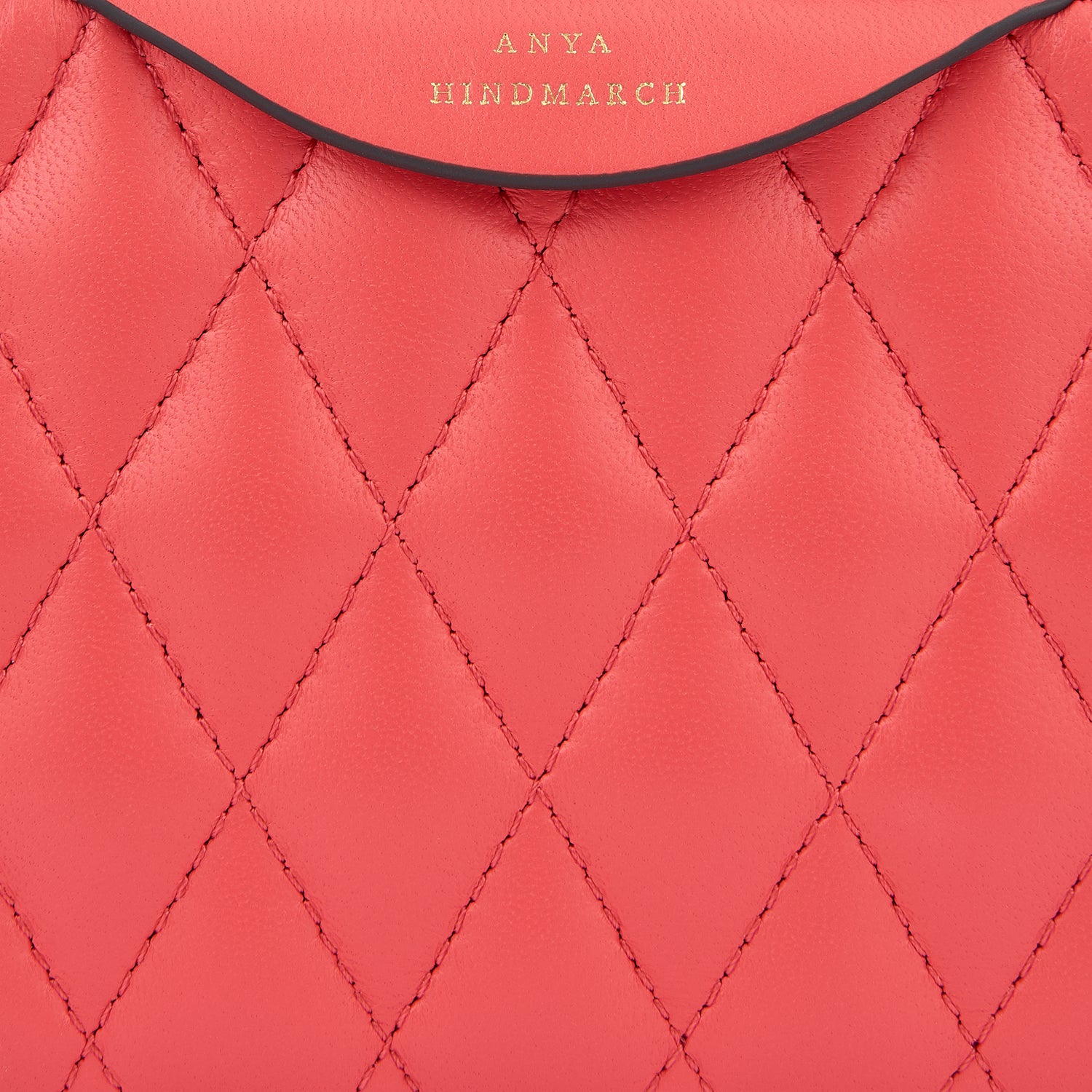 ダブルジップ クロスボディ -

                  
                    Grain Leather in Lollipop -
                  

                  Anya Hindmarch JP
