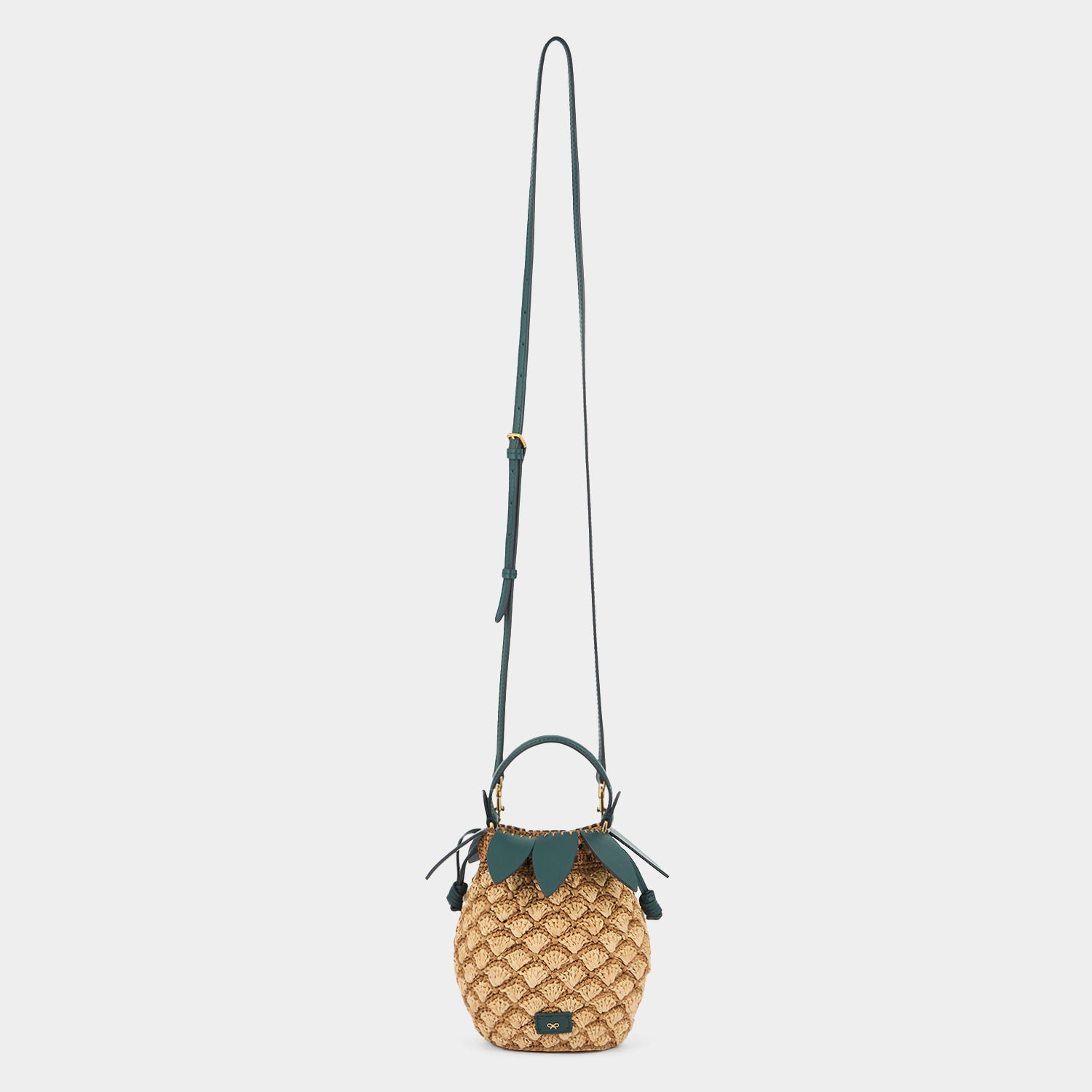 Pineapple クロスボディ -

          
            Raffia in Natural -
          

          Anya Hindmarch JP
