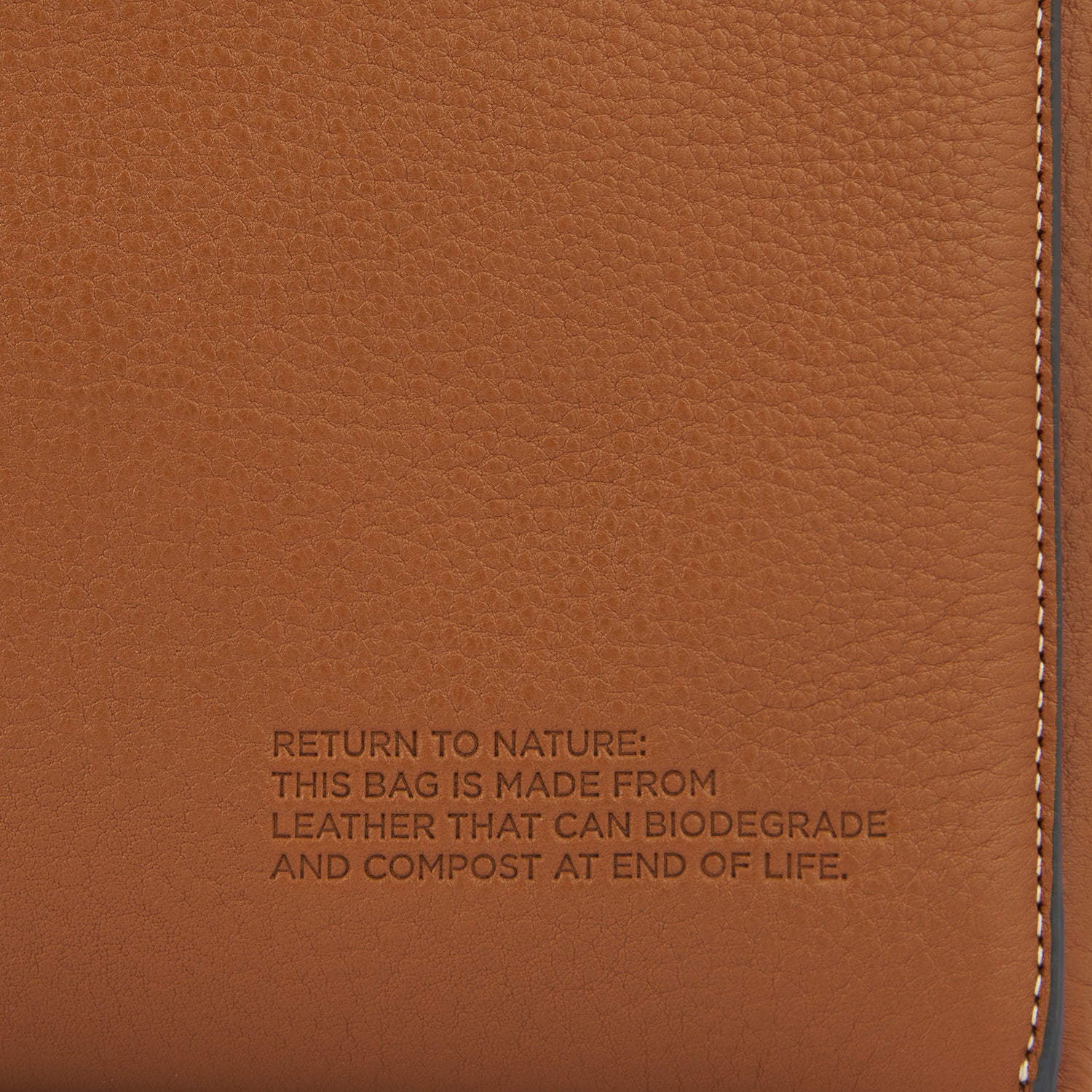 Return To Nature トート -

          
            Eco Natural Grain in Pecan -
          

          Anya Hindmarch JP
