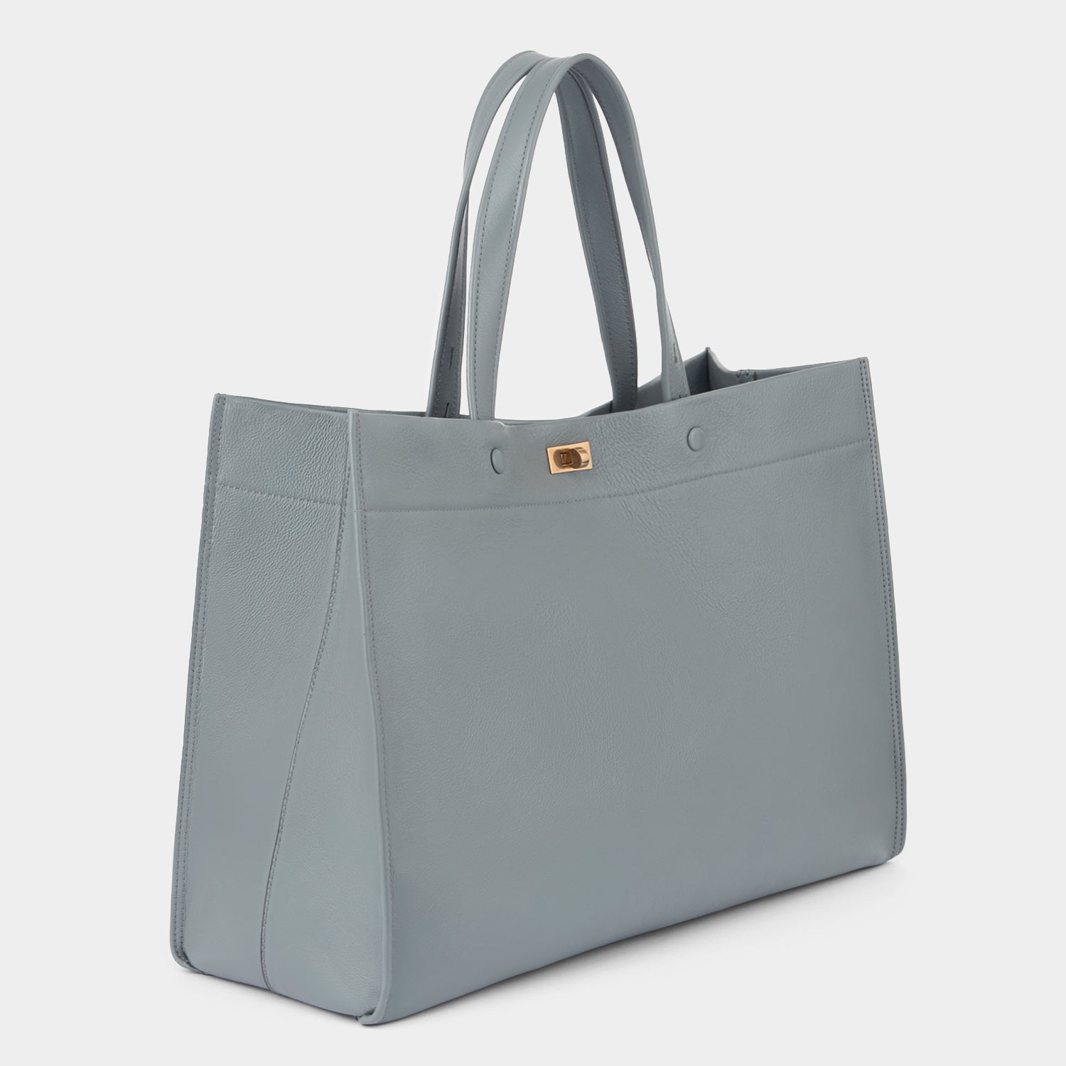 モティマー トート -

          
            Shiny Calf in Shadow -
          

          Anya Hindmarch JP
