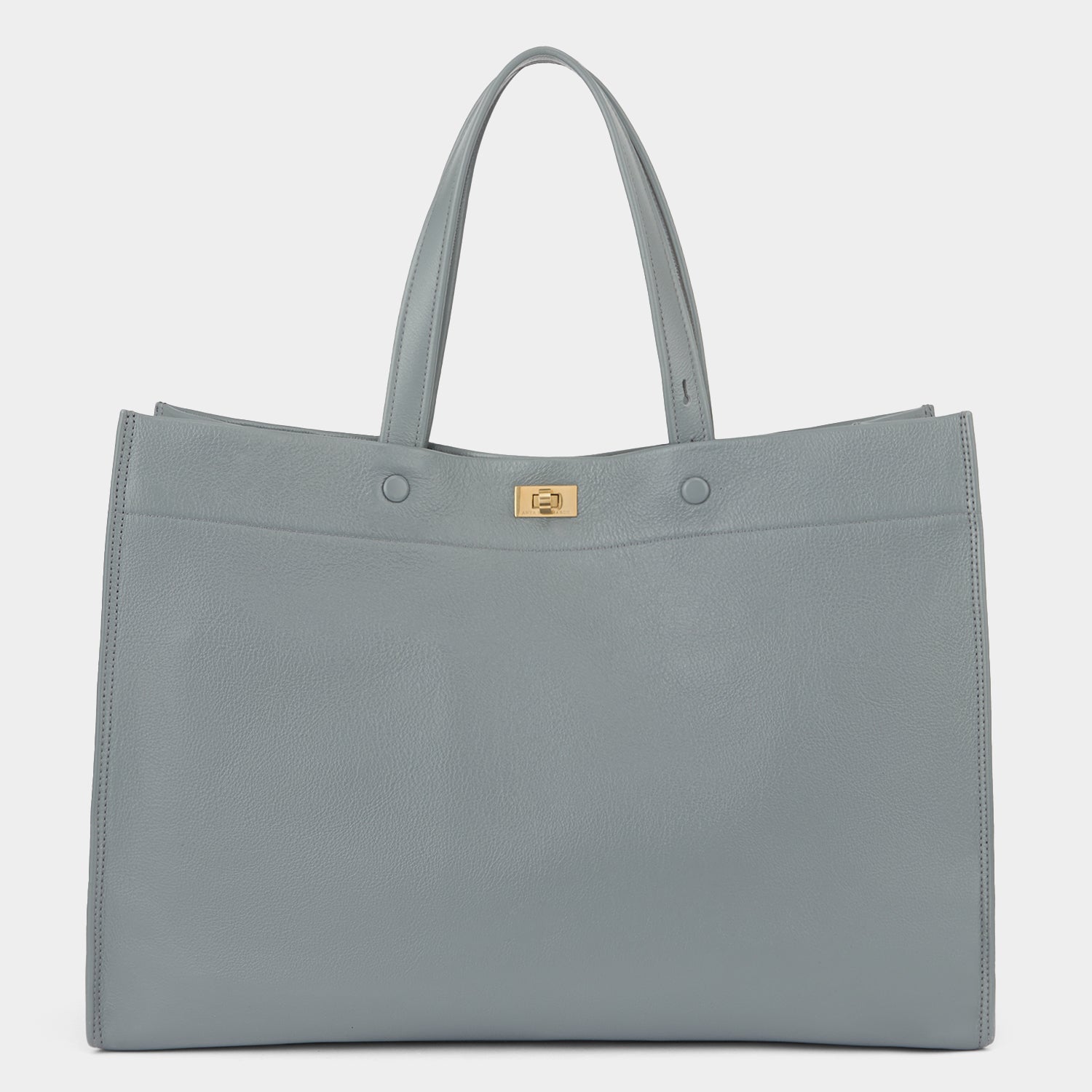 モティマー トート -

          
            Shiny Calf in Shadow -
          

          Anya Hindmarch JP
