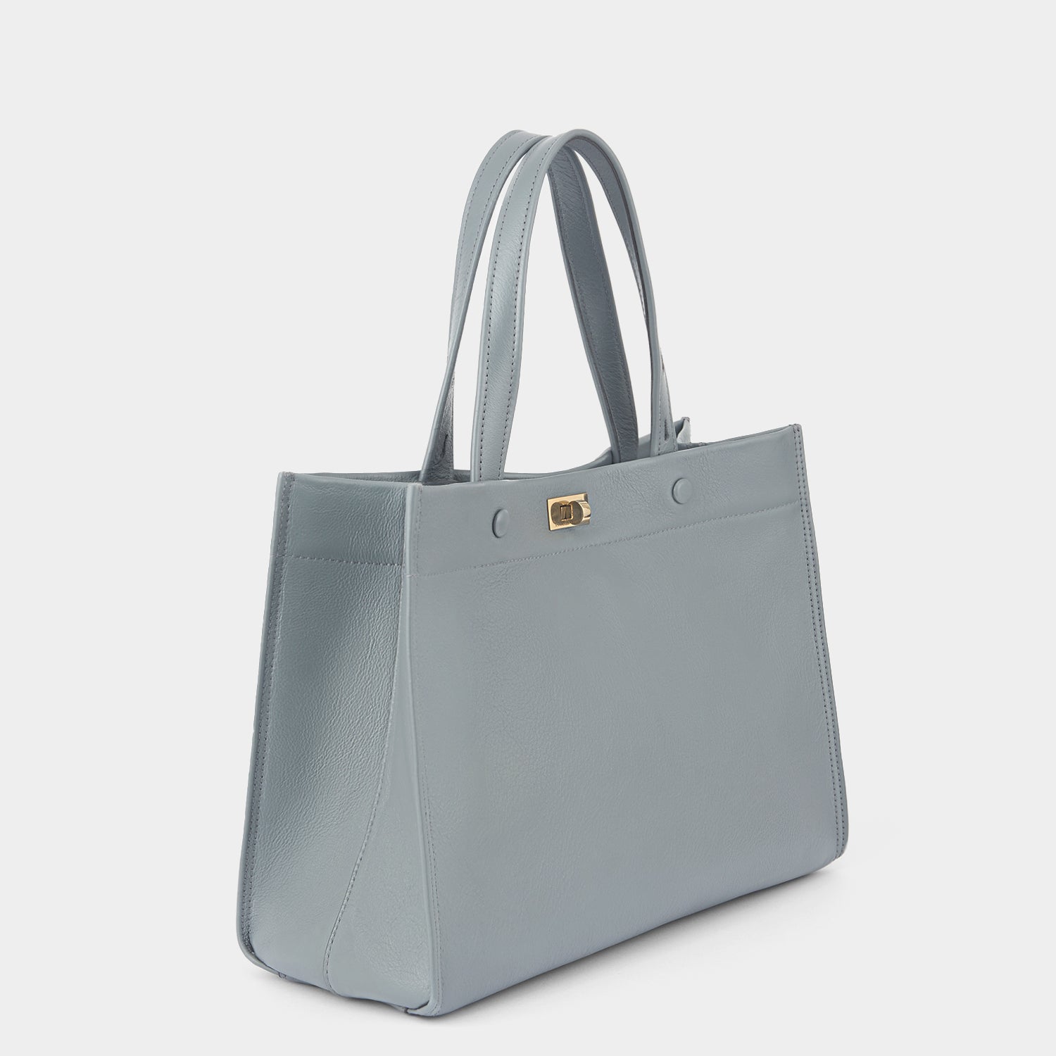 モティマー スモール・トート -

          
            Shiny Calf in Shadow -
          

          Anya Hindmarch JP
