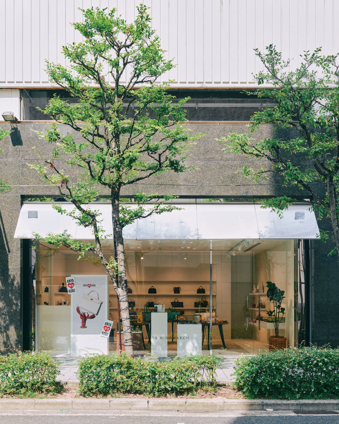 Anya Hindmarch JP