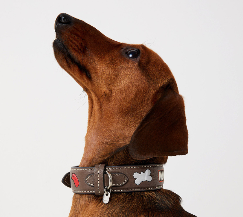 Anya Hindmarch JP