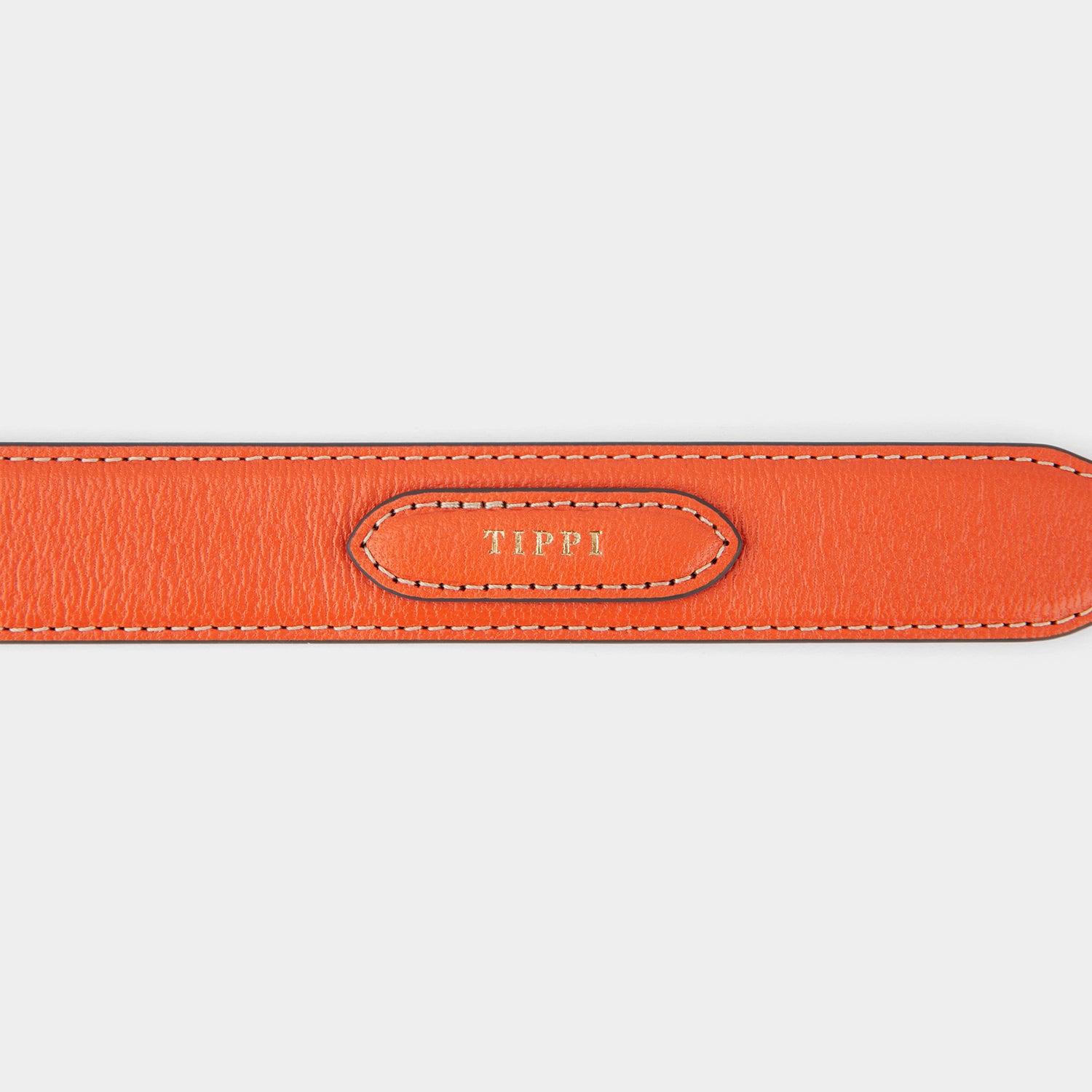 ビスポーク ドッグ カラー ラージ -

                  
                    Grainy Capra in Clementine -
                  

                  Anya Hindmarch JP
