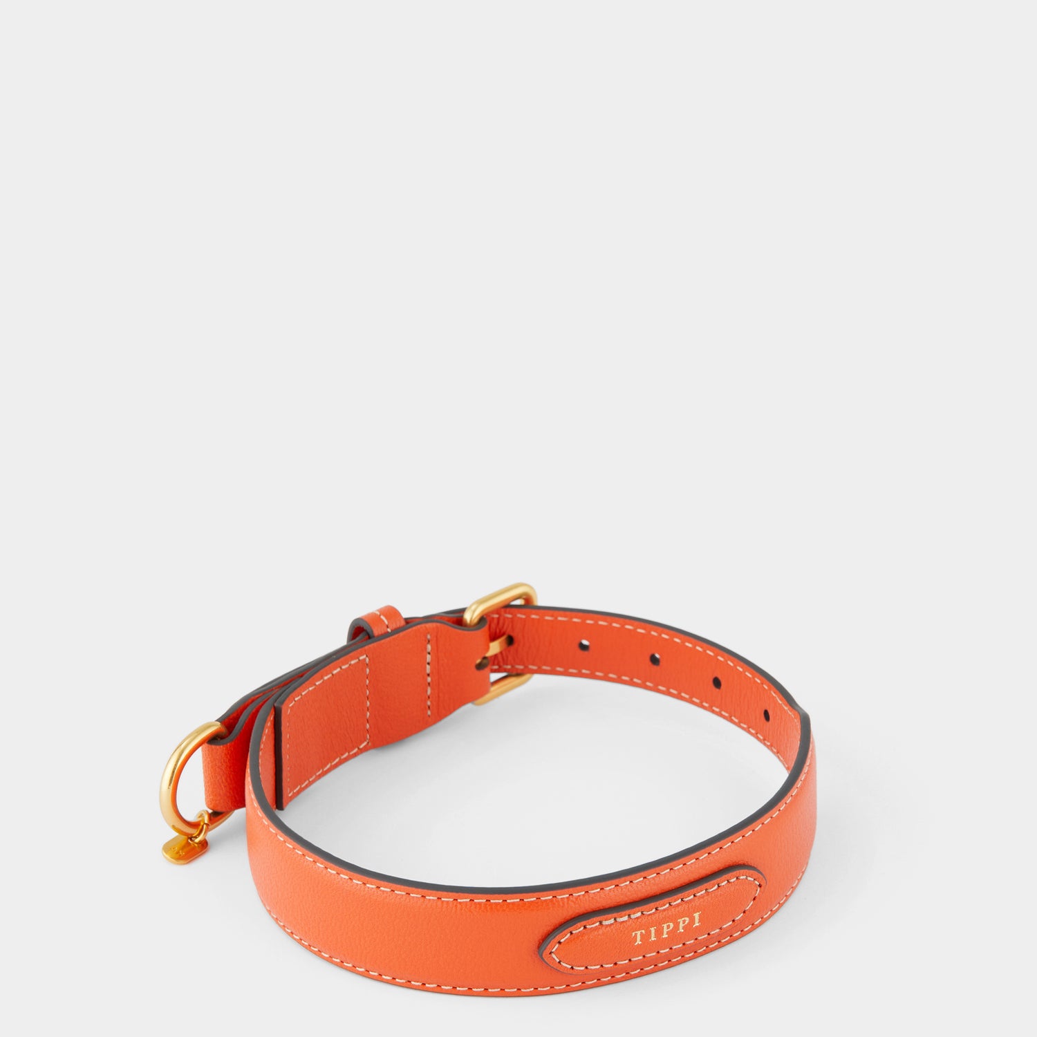 ビスポーク ドッグ カラー ラージ -

                  
                    Grainy Capra in Clementine -
                  

                  Anya Hindmarch JP
