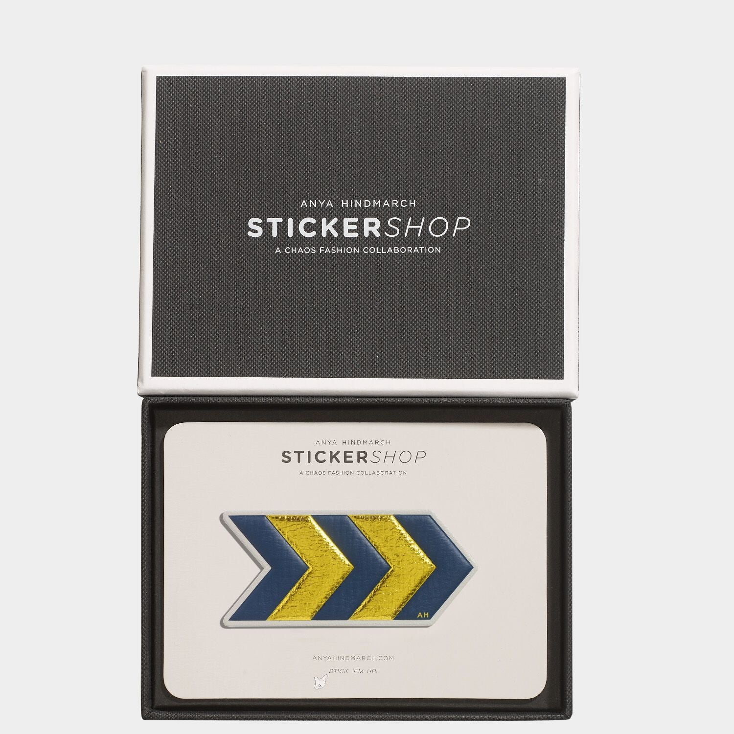 Chevron Leather Sticker -

          

          Anya Hindmarch JP
